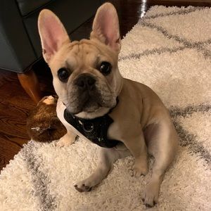 Meet your Posher, Kristina